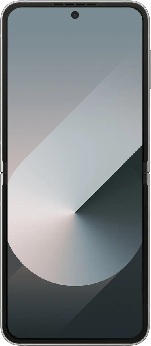 Samsung Galaxy Z Flip6 512GB - Zilver