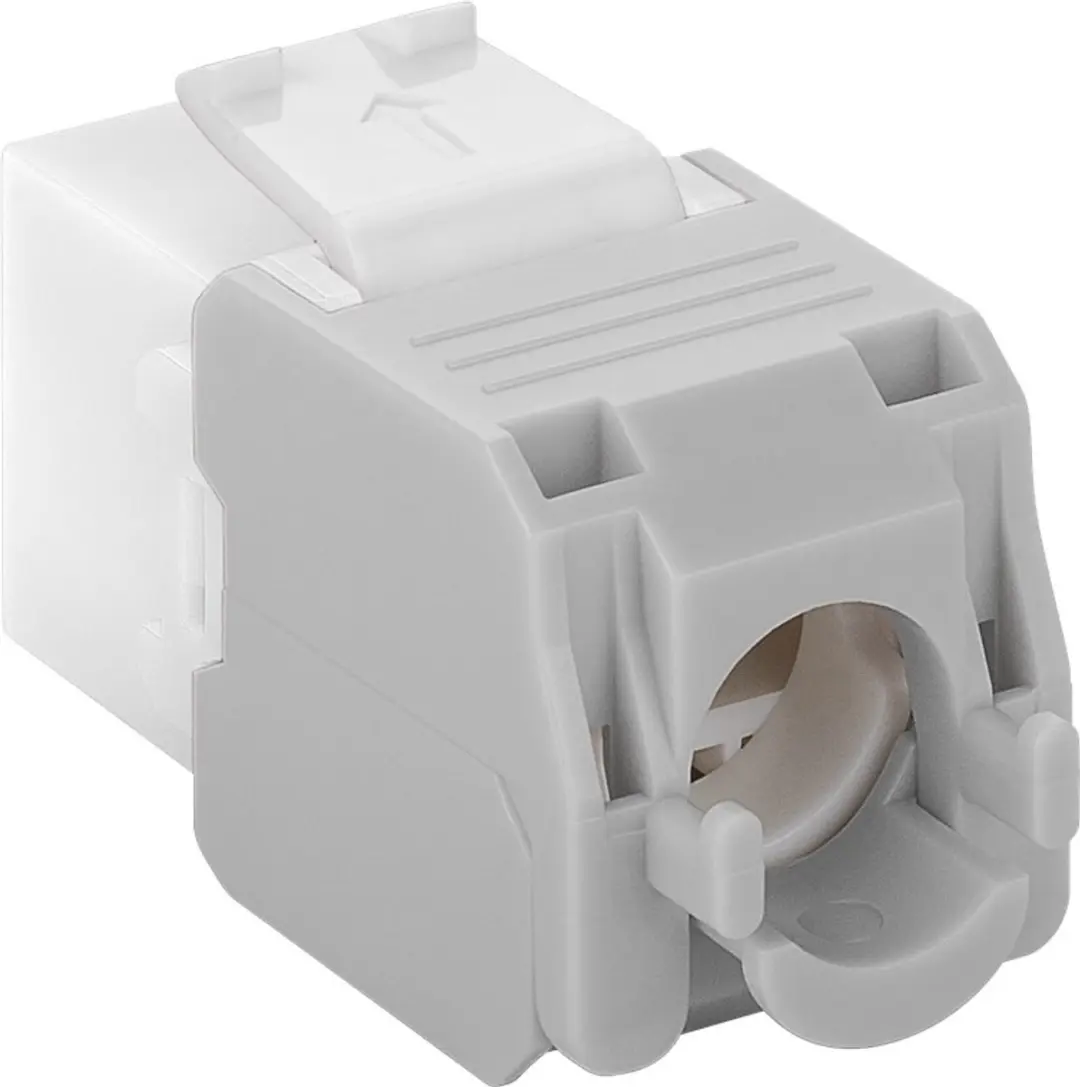 Goobay 1190867 Keystone Module RJ45 CAT 6A - Wit
