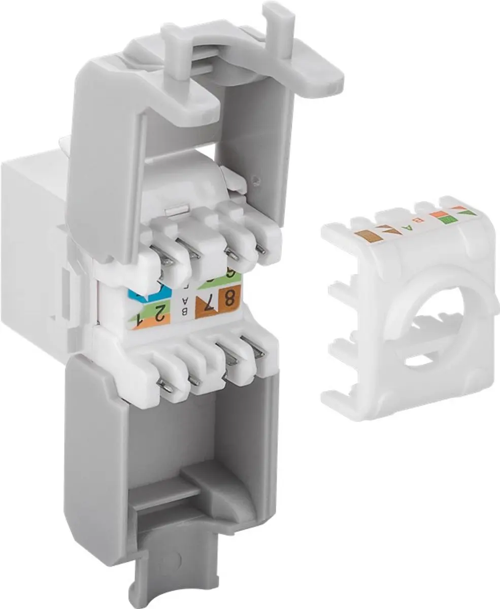 Goobay 1190867 Keystone Module RJ45 CAT 6A - Wit