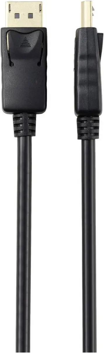 Renkforce DisplayPort Kabel 1.00m RF-5245266 - Zwart