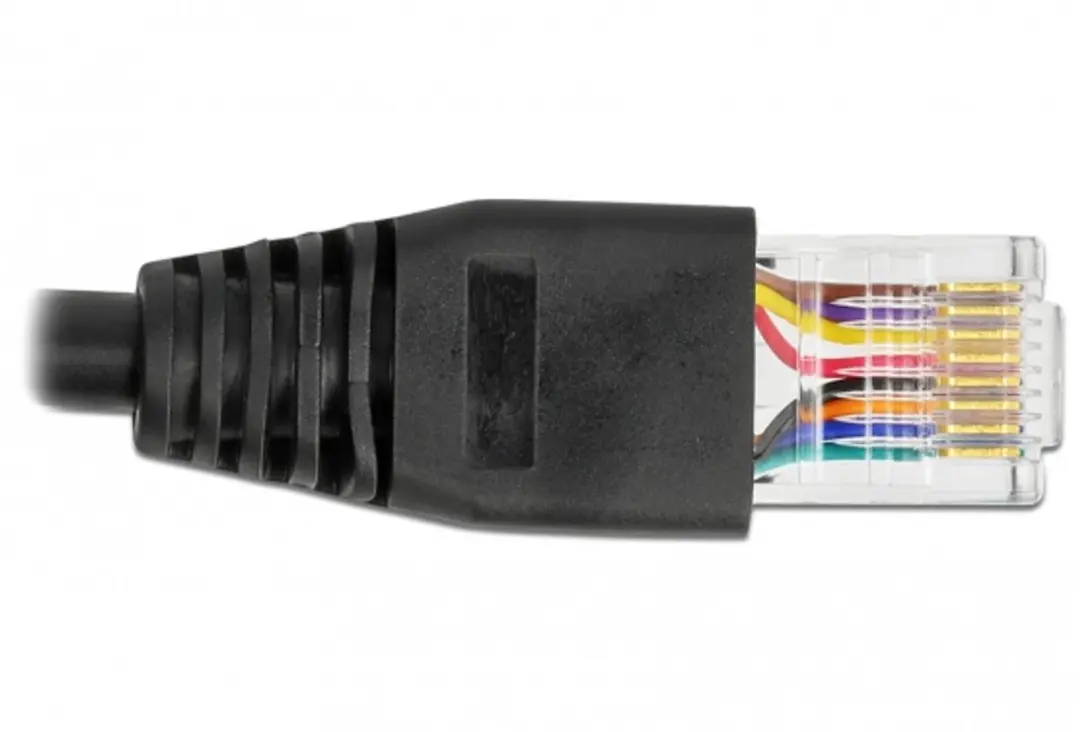 Delock USB 2.0 naar RS-232 RJ45 Kabel 50cm - FTDI Chipset - Zwart