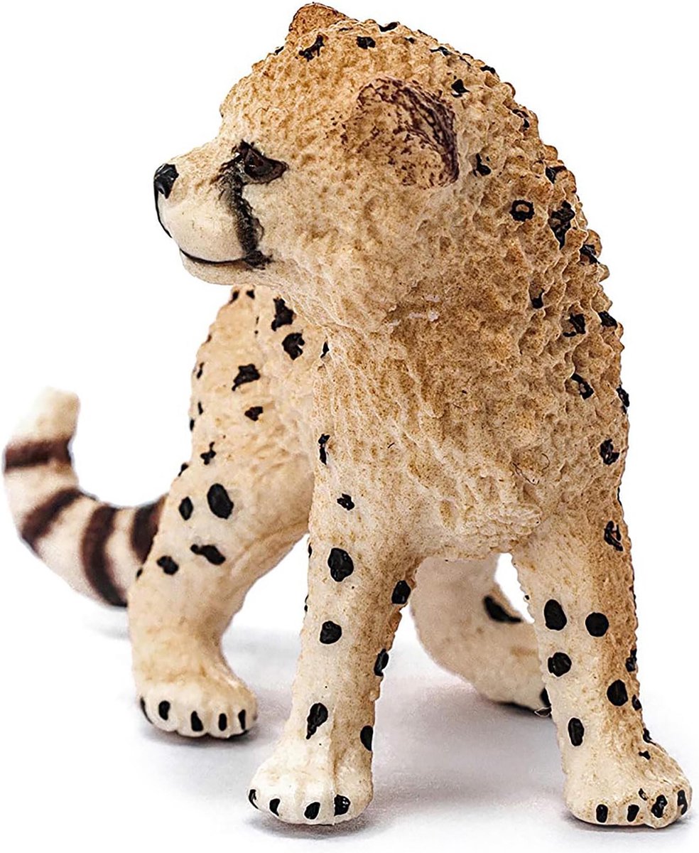 SLH14747 Schleich Wild Life - Jonge Cheetah Figuur, voor Kinderen 3+