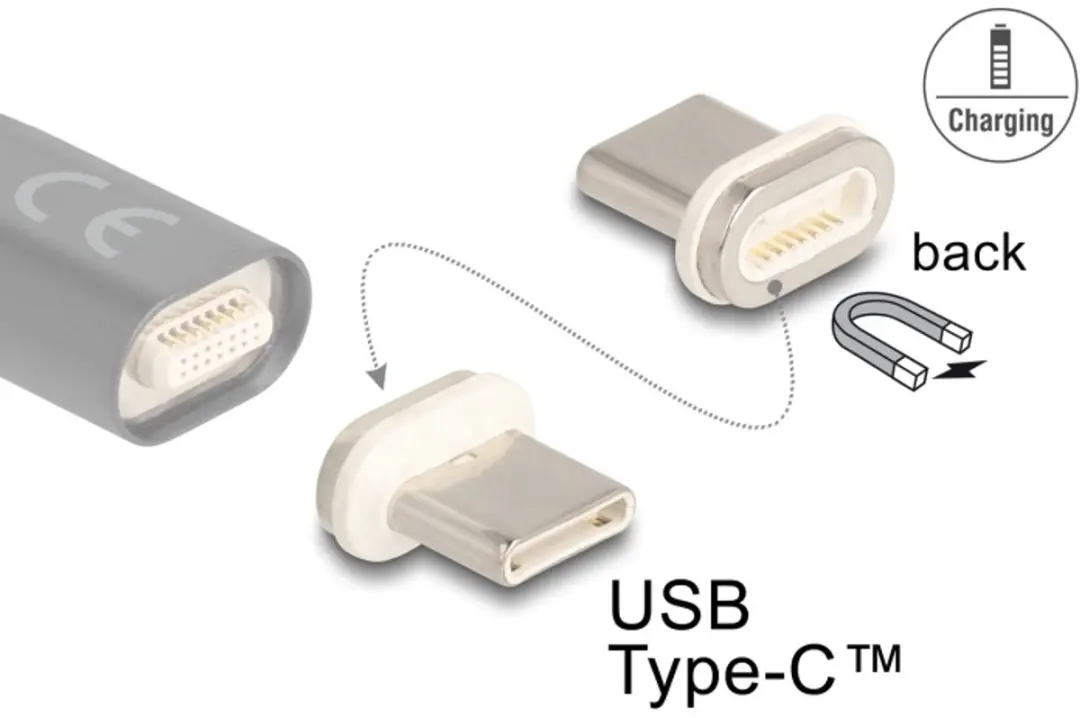 Delock Magnetic USB Type-C Adapter