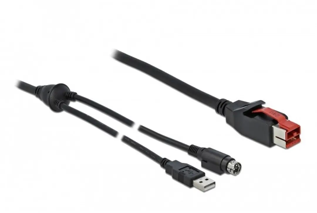 Delock PoweredUSB Kabel 24V naar USB Type-A - 2m - Zwart