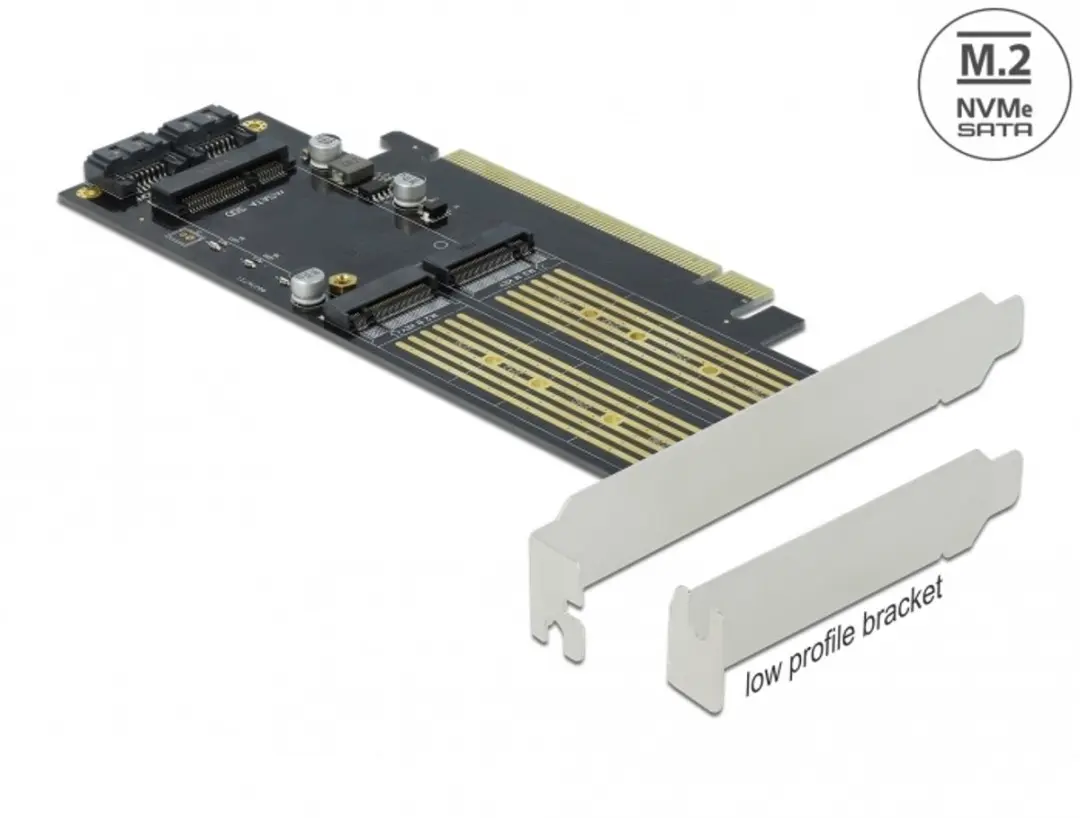 Delock PCIe x16 Kaart M.2 Key B/NVMe mSATA