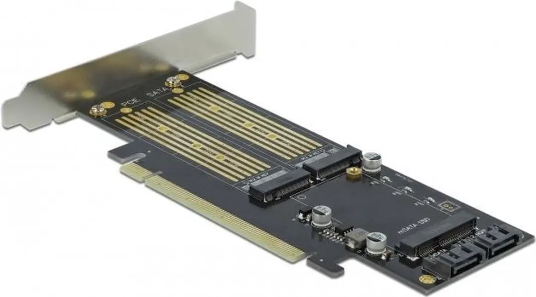 Delock PCIe x16 Kaart M.2 Key B/NVMe mSATA - Zwart