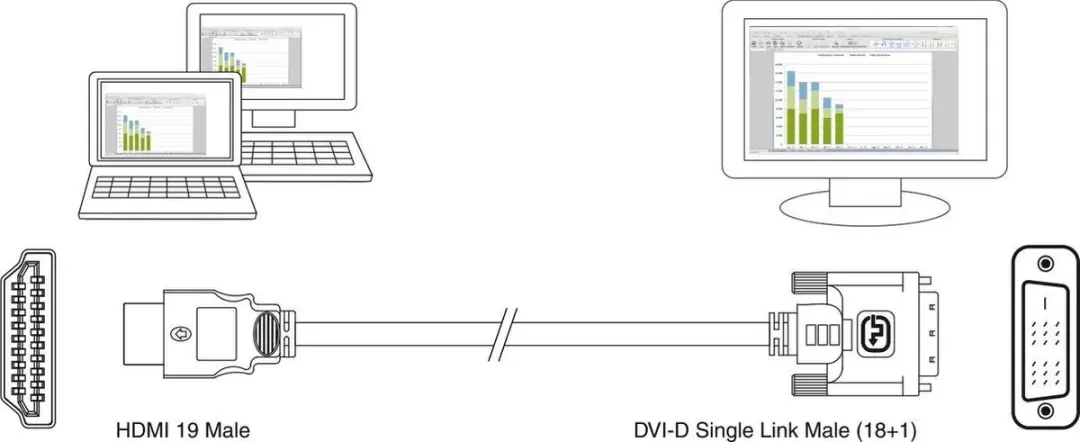 Ewent EW9860 HDMI/DVI-D Kabel 2m - Zwart