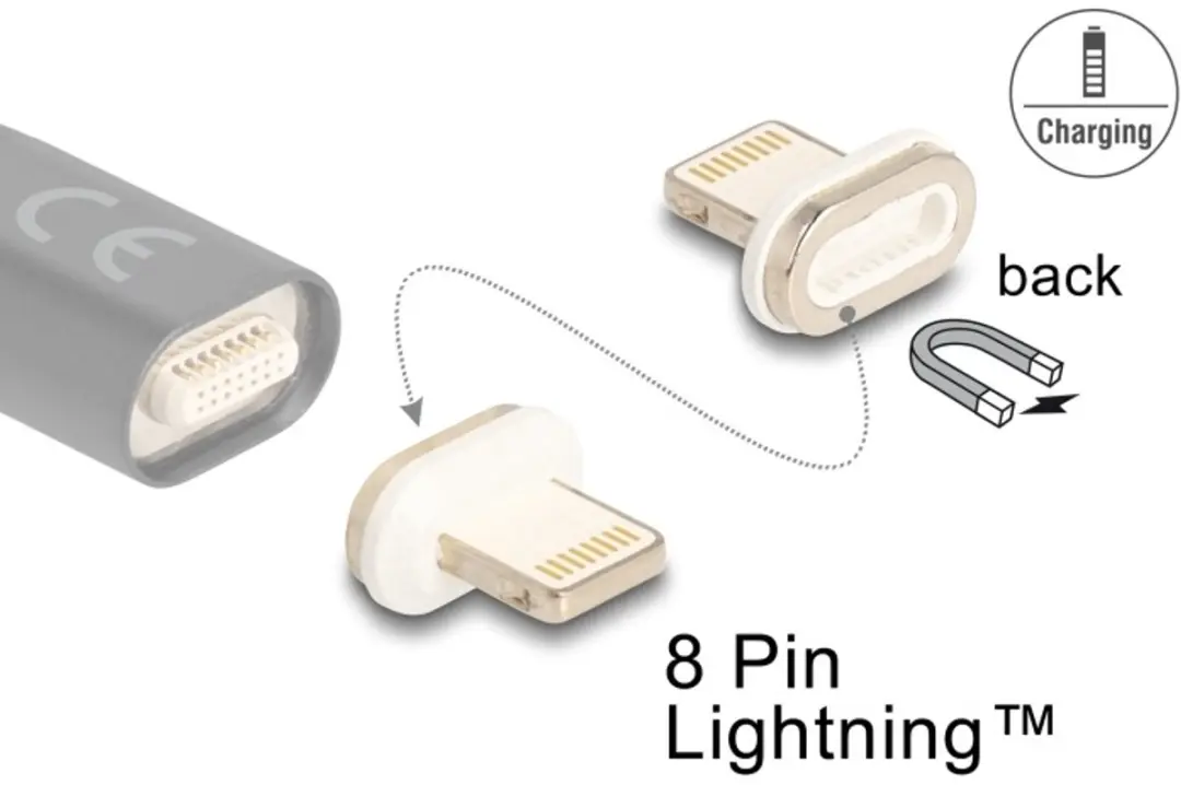 Delock Magnetic Adapter 8-pin Lightning Mannelijk - Zilver