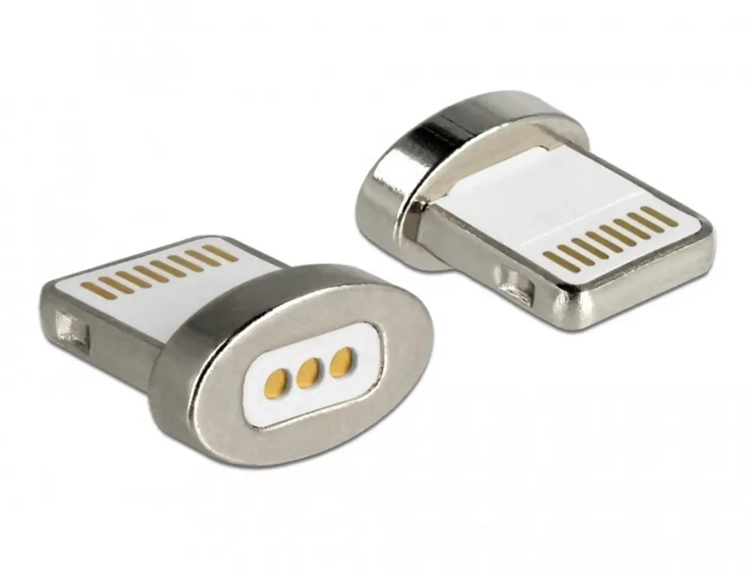 Delock Magnetic Adapter 8-pin Lightning Mannelijk - Zilver