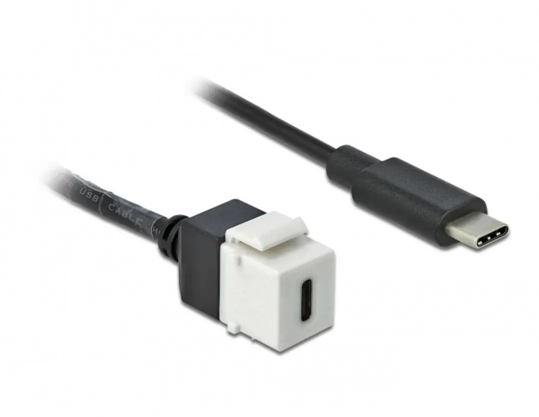 Delock USB-C Keystone Module 5Gbps