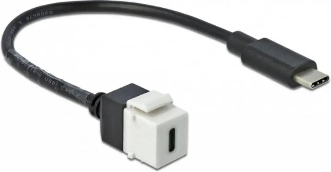 Delock USB-C Keystone Module 5Gbps - Wit