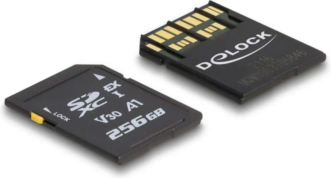 Delock SD Express Geheugenkaart 256GB - Zwart