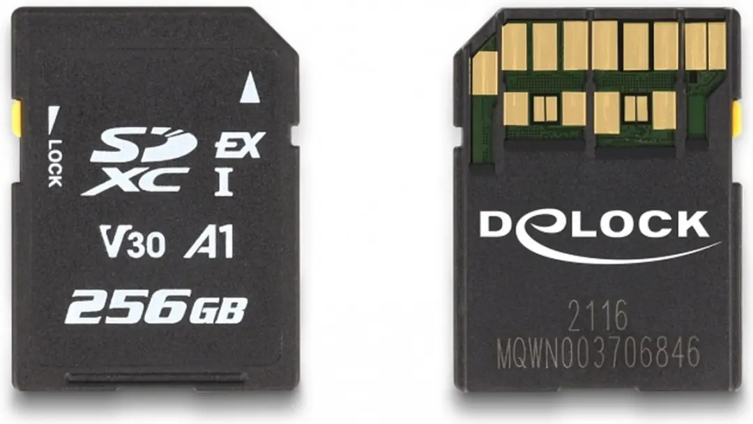 Delock SD Express Geheugenkaart 256GB - Zwart