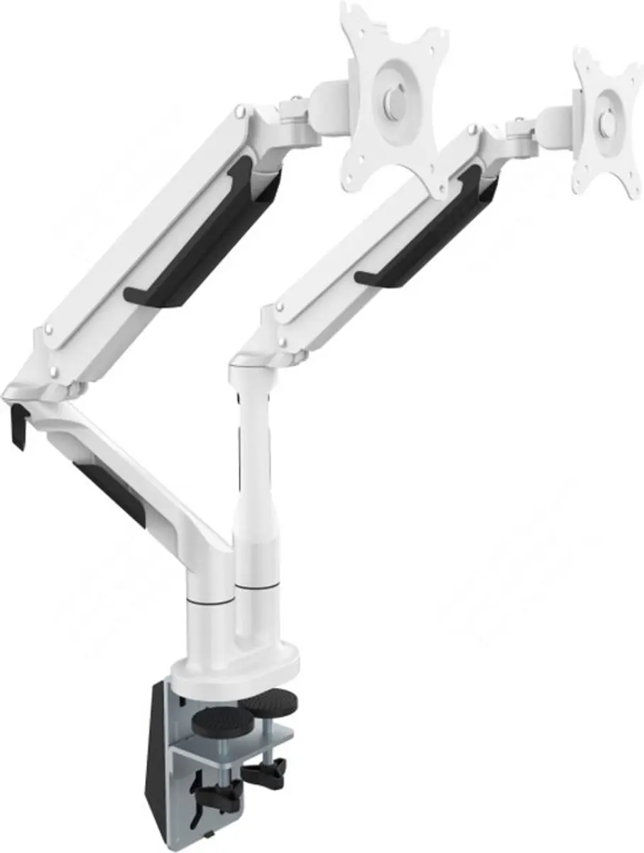 Desq 1723.01 Dubbele Monitorarm