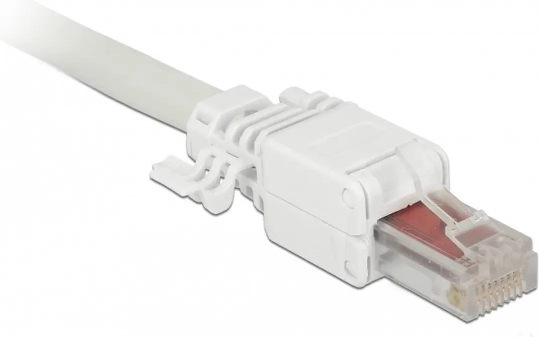 Delock RJ45 Cat.6 UTP Plug - 2 Stuks Wit