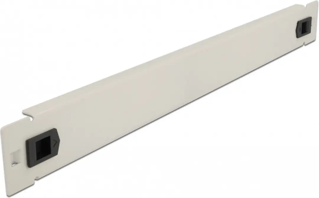 Delock 19 inch Blindpaneel 1U - Grijs