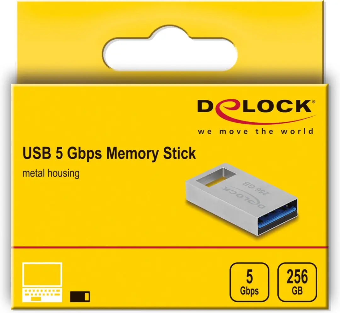 Delock USB 5Gbps Geheugenstick 256GB - Grijs Metaal