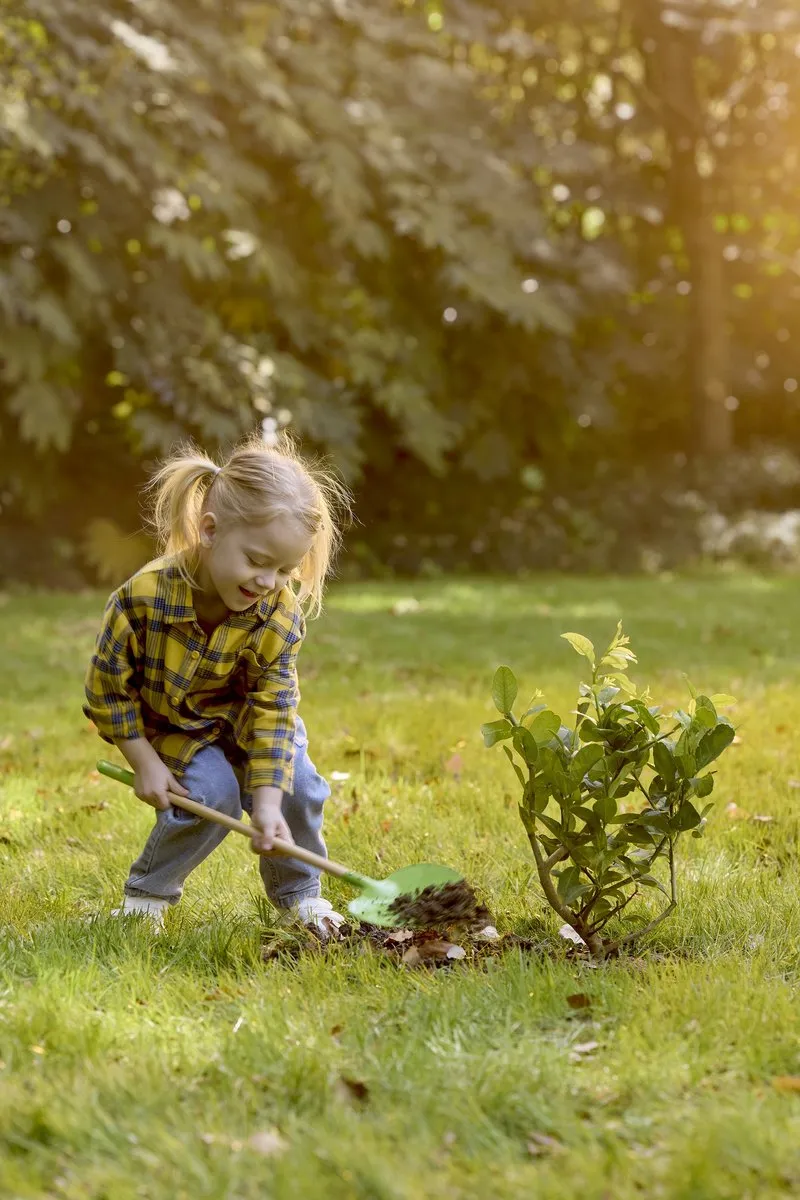 Hape E5587EU Tuinschep - Groen/Bruin - afbeelding 6 van 6