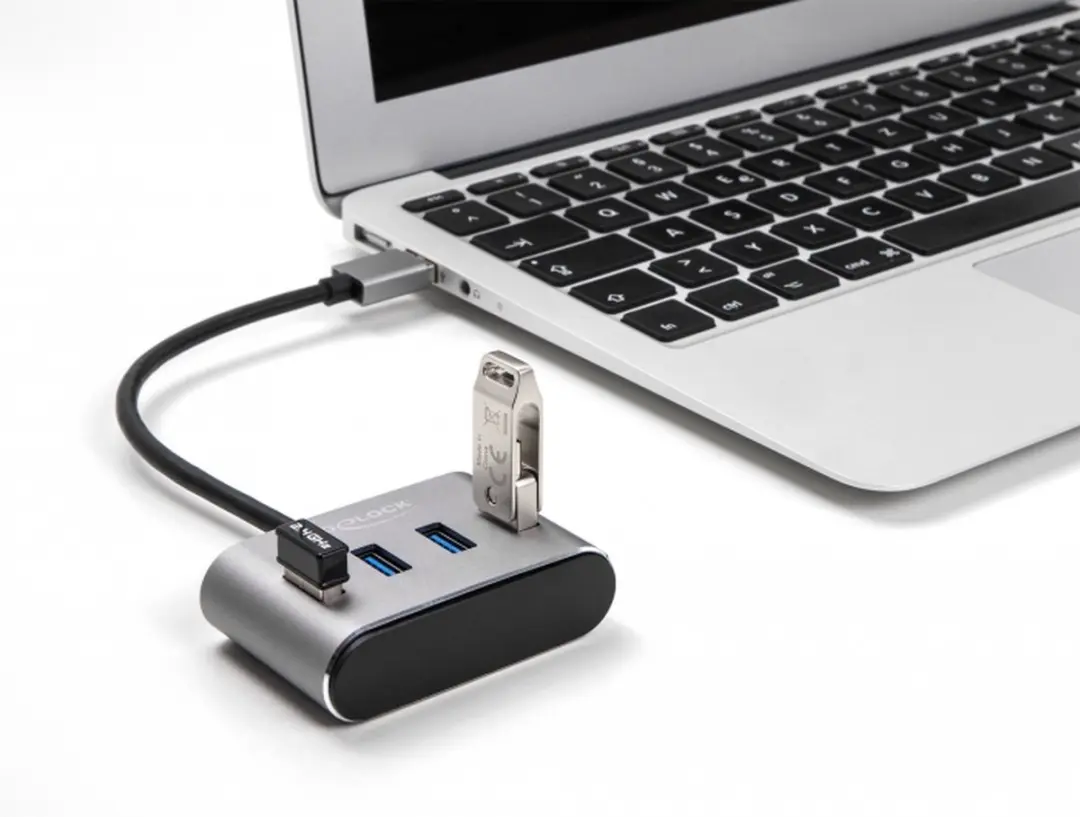 Delock 4-Port USB 5Gbps Hub - Zwart