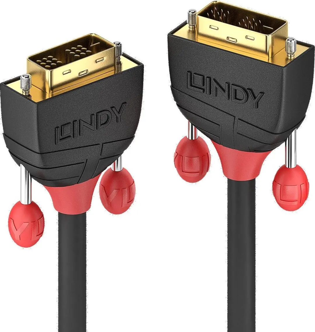 Lindy 36256 DVI-kabel DVI-D 18+1-polig