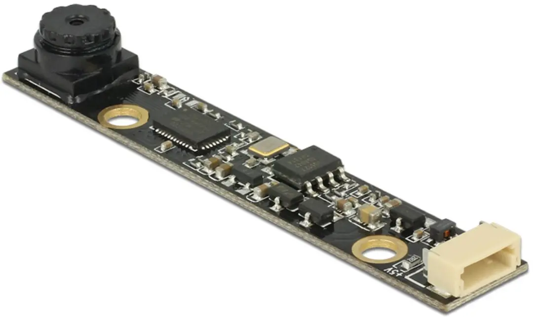 Delock USB 2.0 Camera Module 1,92MP