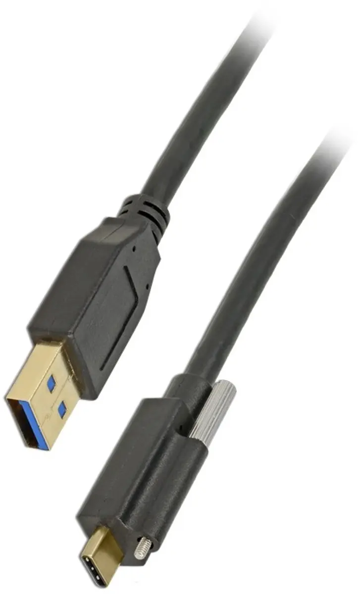 Delock USB-A naar USB-C Kabel 3.1 Gen 2