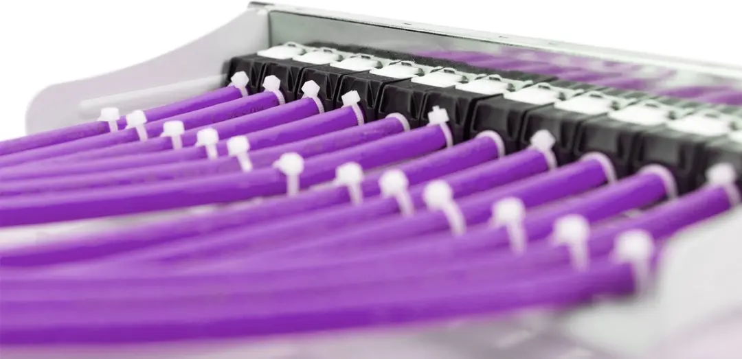 Digitus ASSMANN CAT 6 F-UTP Kabel 100m - Multicolor