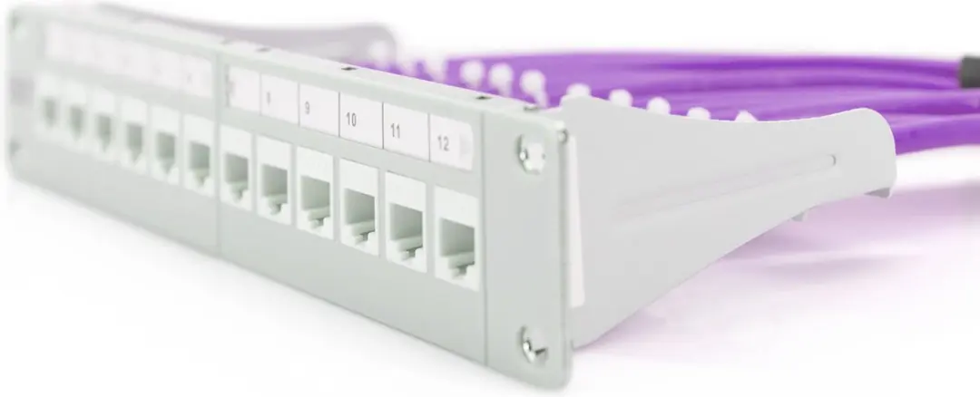 Digitus ASSMANN CAT 6 F-UTP Kabel 100m - Multicolor