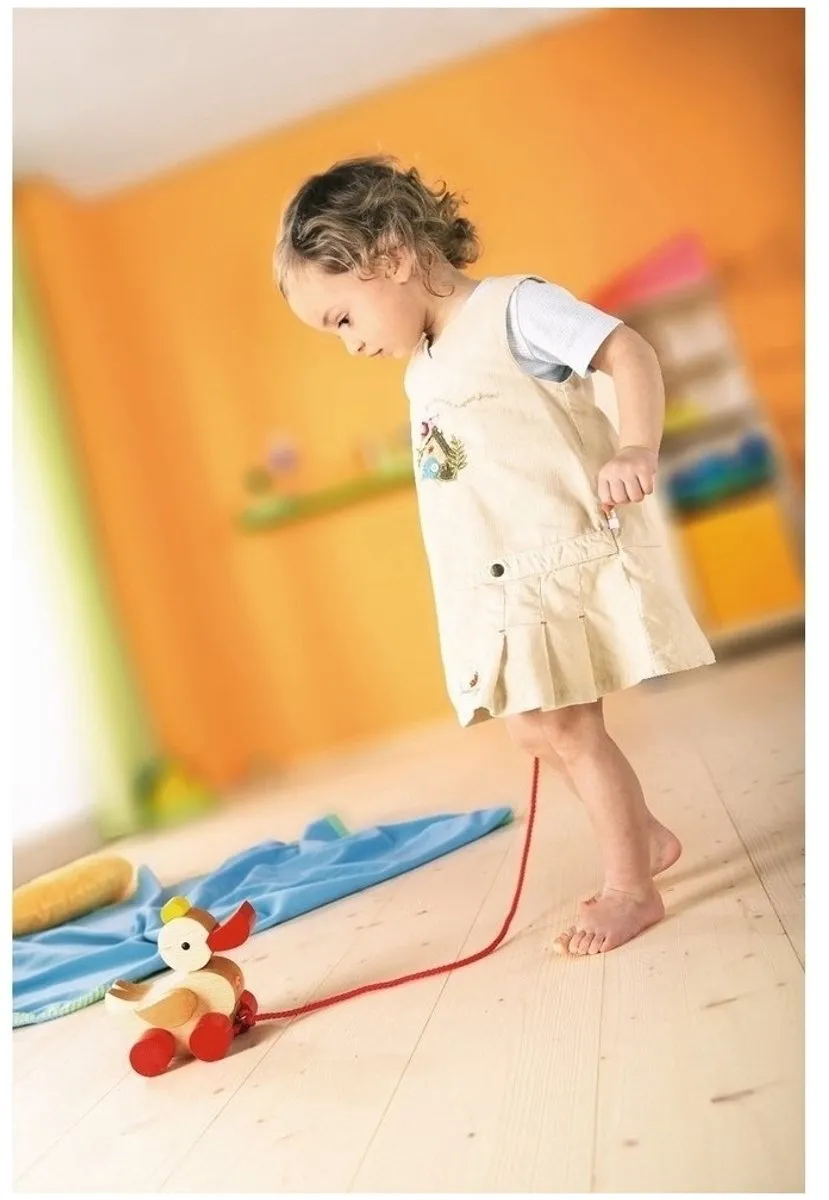 Haba Trekfiguur Eend - Blank