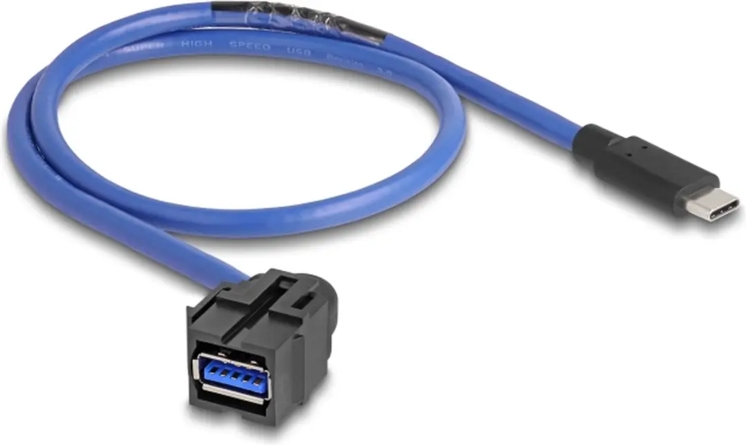 Delock USB-A Haaks Keystone Module USB-C 5Gbps - 0,5m - Zwart