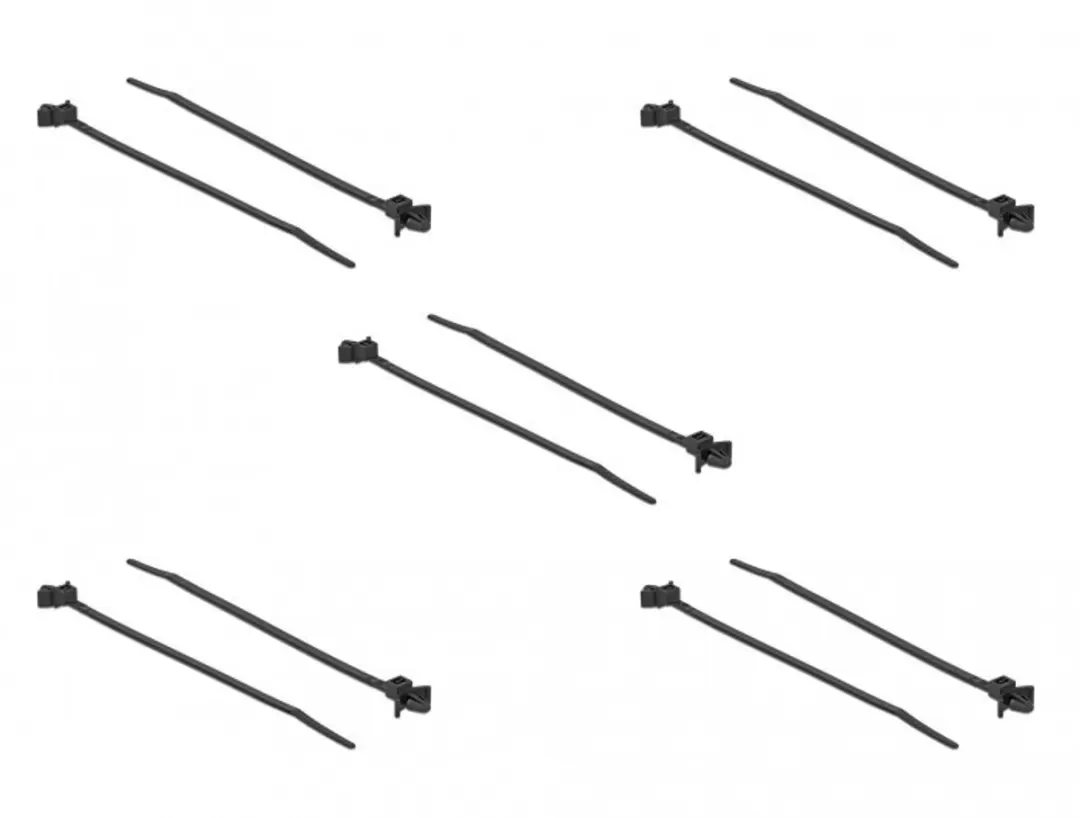 Delock Kabelbinders 160x4mm - 10 Stuks