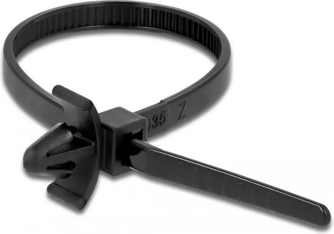 Delock Kabelbinders 160x4mm - 10 Stuks