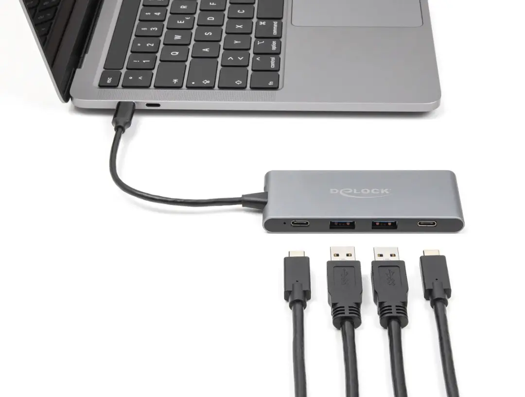 Delock 64111 USB-C Hub 4 Poorten - 10 Gbps - Grijs