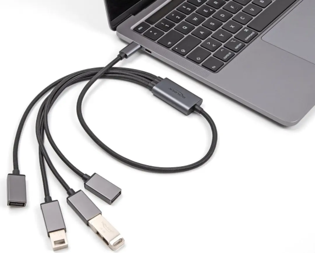 Delock 4-Poorts USB 2.0 Hub Type-C 60cm - Zwart/Grijs