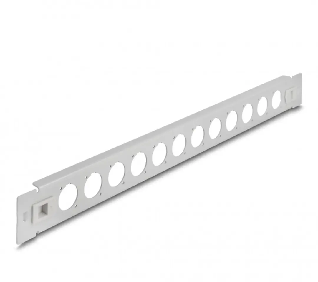 Delock 19 inch Patch Panel 12x D-Type