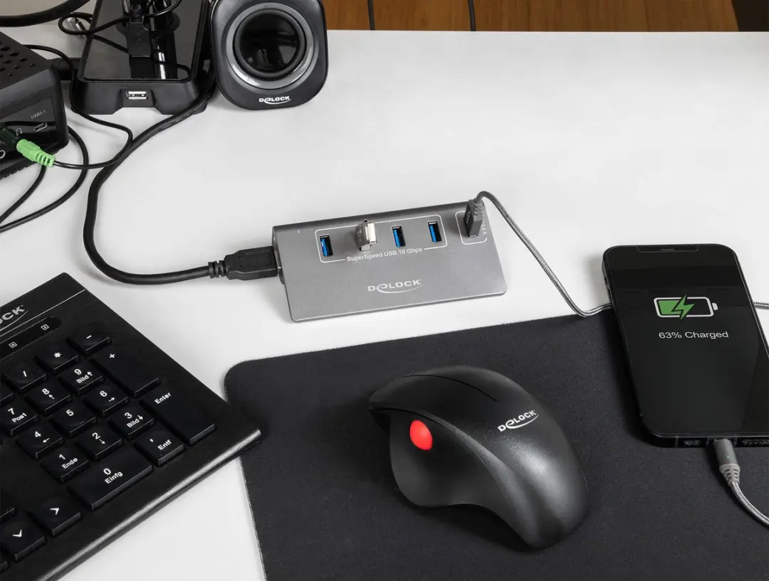 Delock 64182 USB 10Gbps Hub - 4x USB-A + Snelladen - Grijs