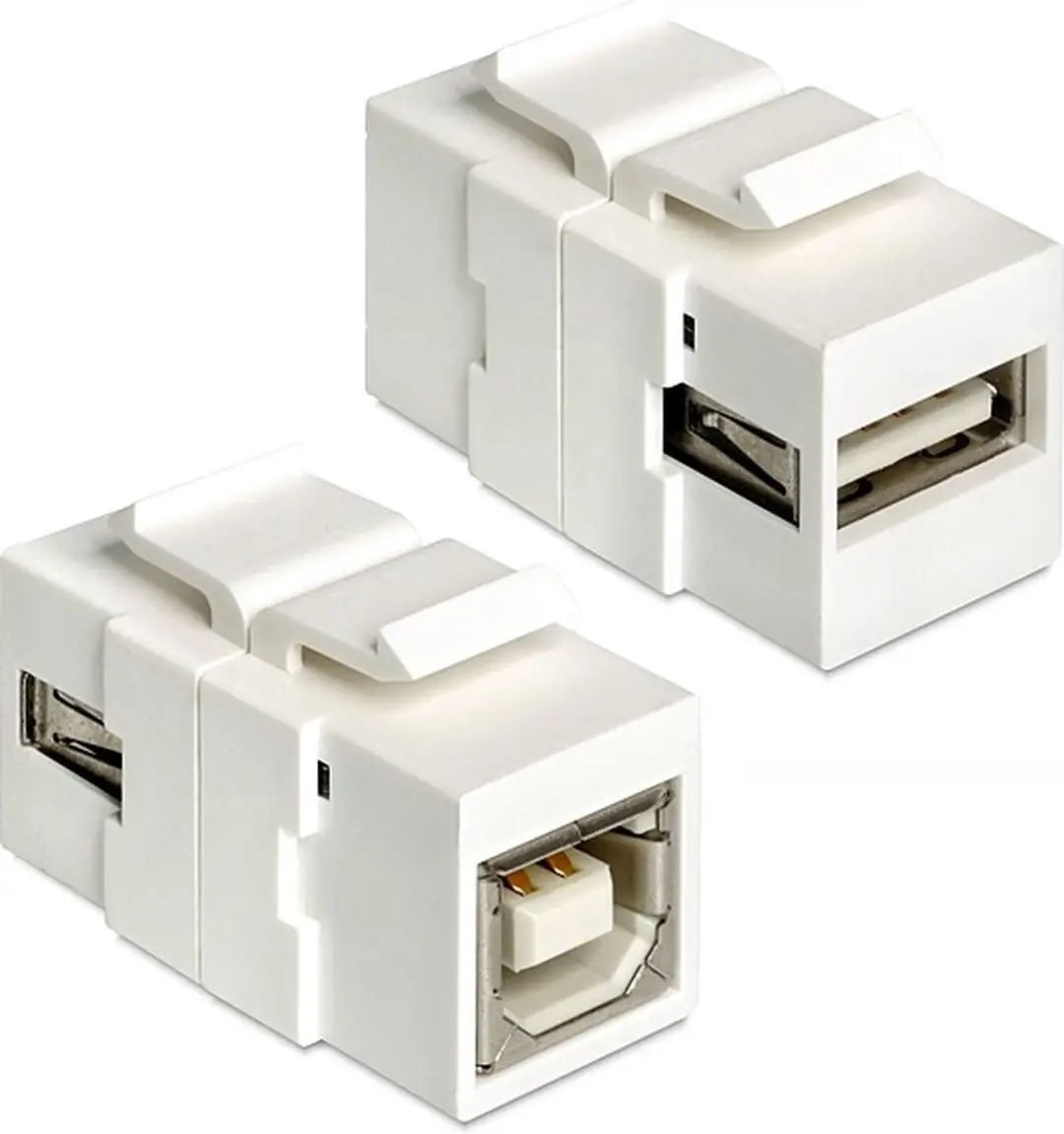 Delock Keystone USB 2.0 A naar B Module - Wit