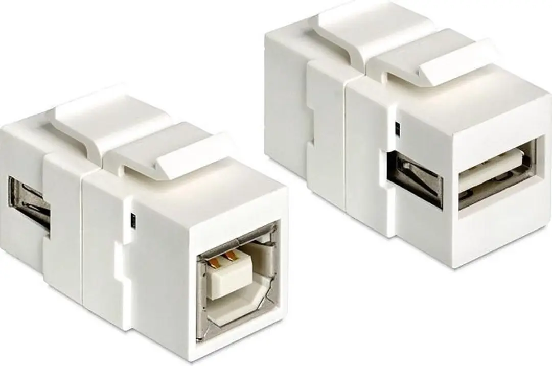 Delock Keystone USB 2.0 A naar B Module - Wit