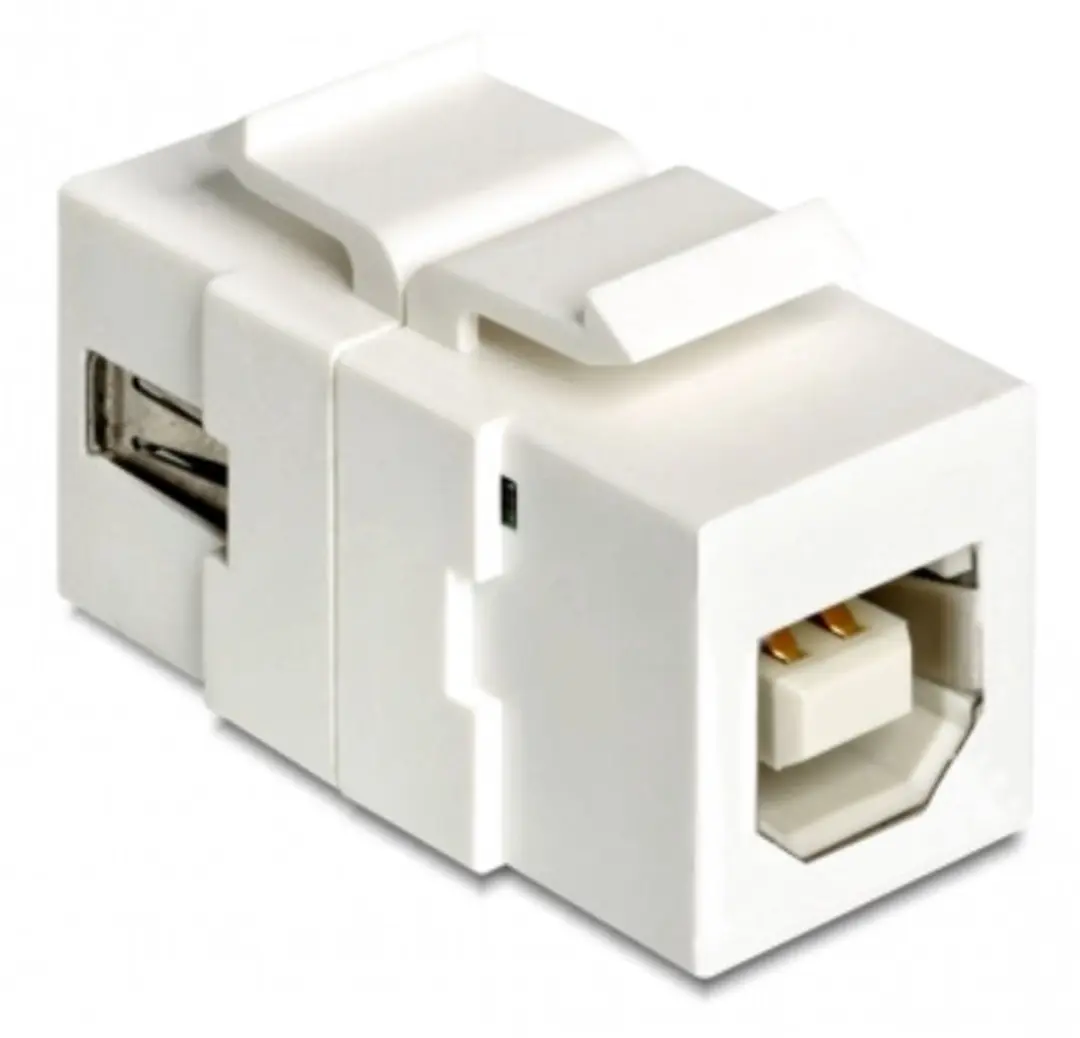 Delock Keystone USB 2.0 A naar B Module