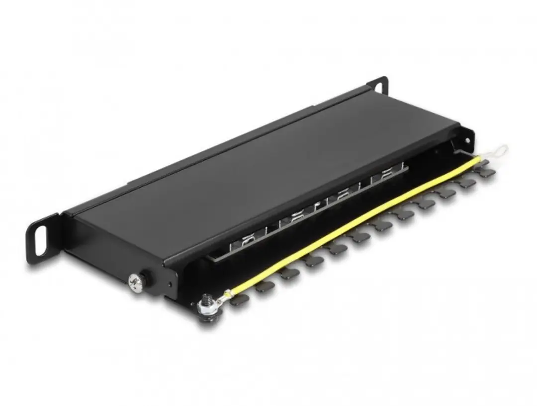 Delock 10 inch Patch Panel 8x RJ45 CAT6a STP - 0,5U Zwart
