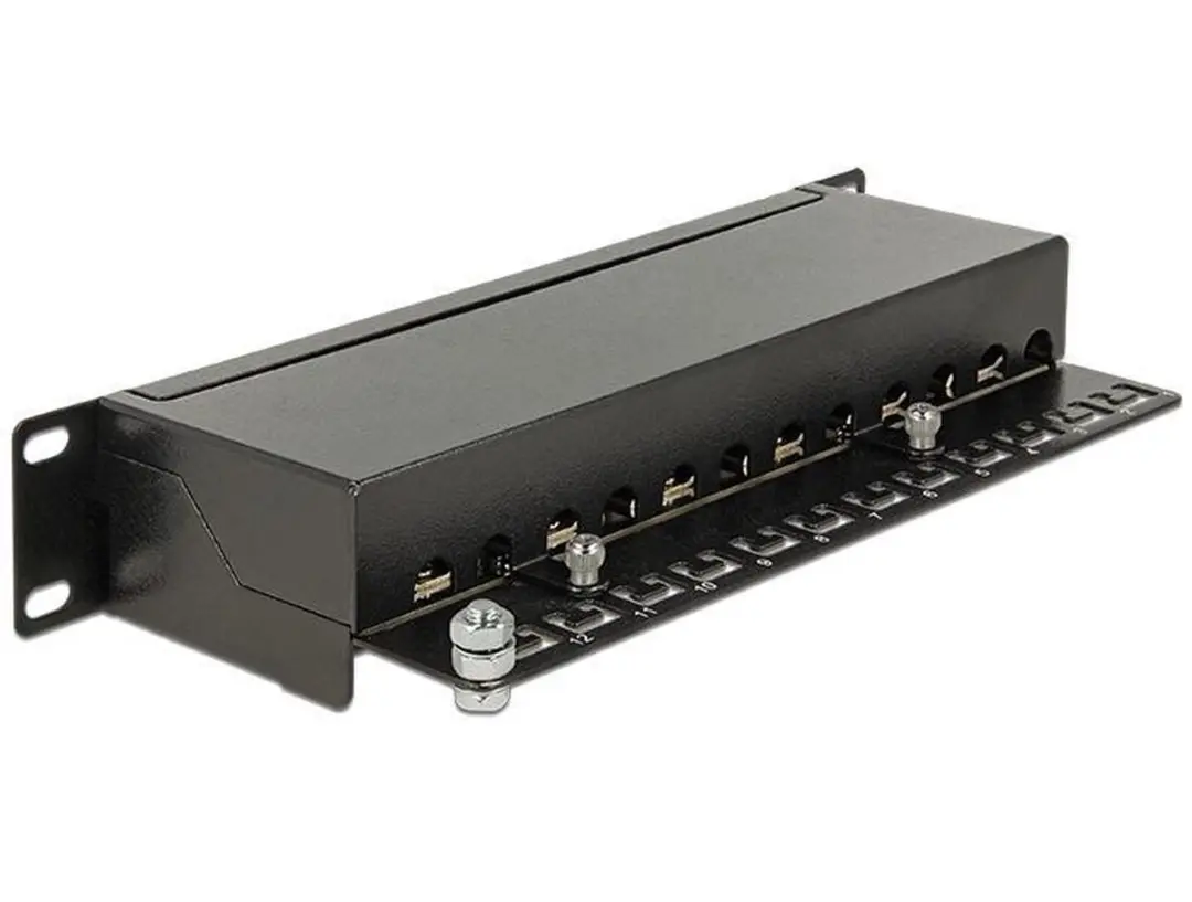 Delock CAT6a Patch Panel 12 Poorten - 1U - Zwart