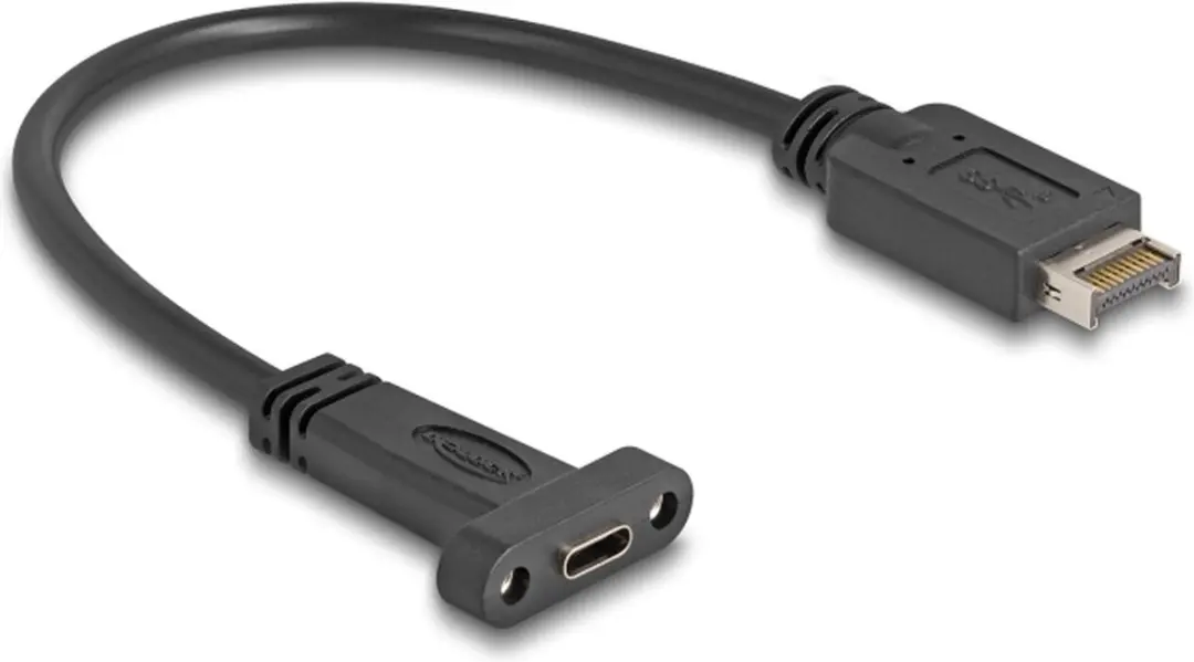 Delock USB 10Gbps Type-E naar USB-C Kabel 25cm - Zwart