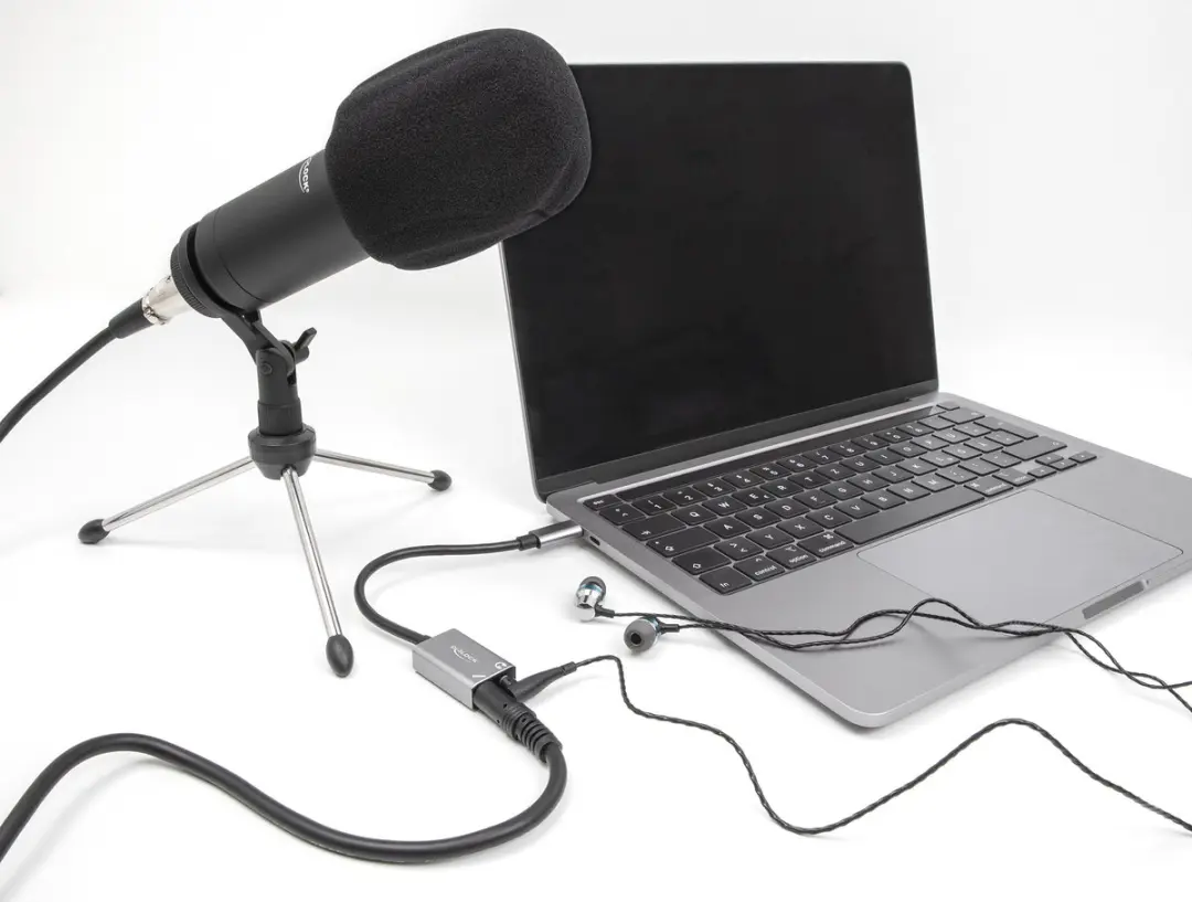 Delock 67071 USB Soundcard - Type-C naar 2x 3.5mm Jack - Grijs