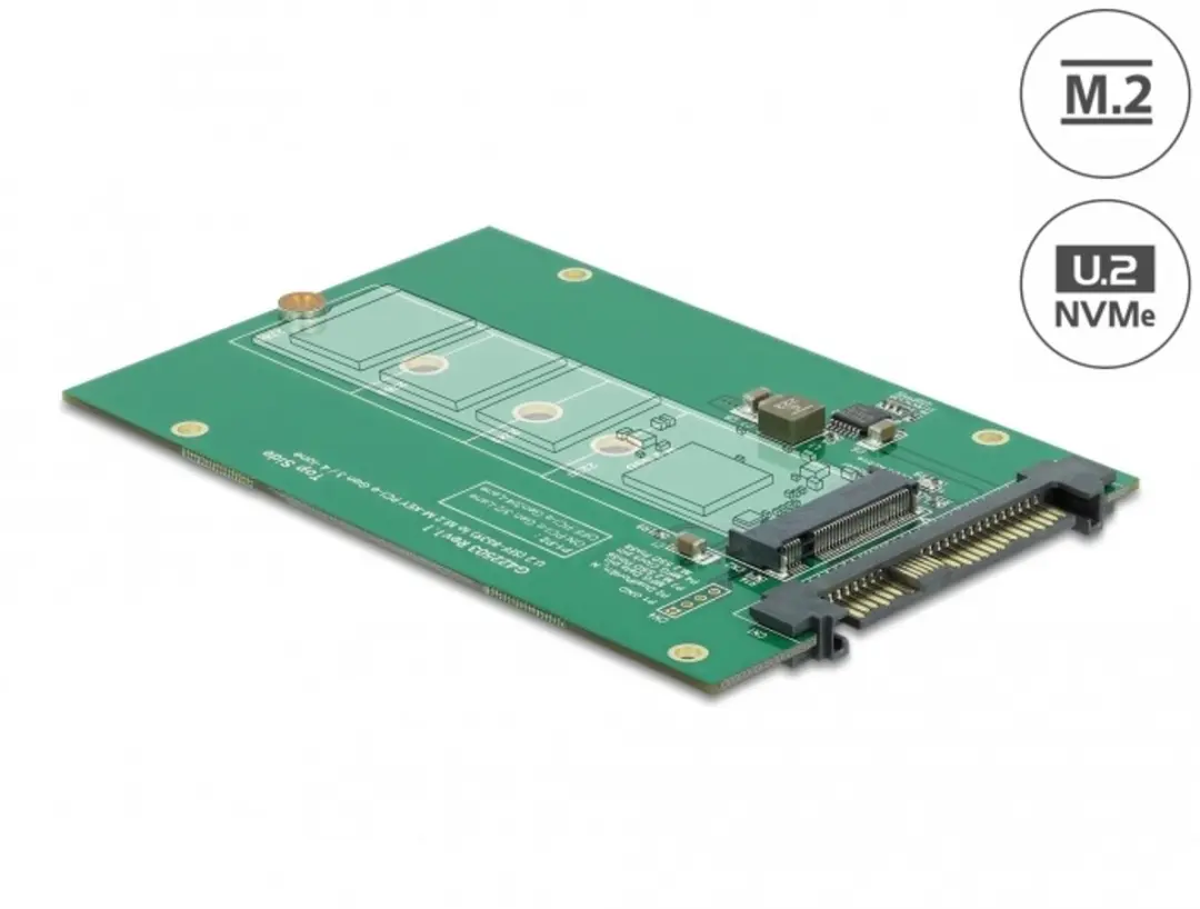 Delock U.2 naar M.2 NVMe Converter 62696