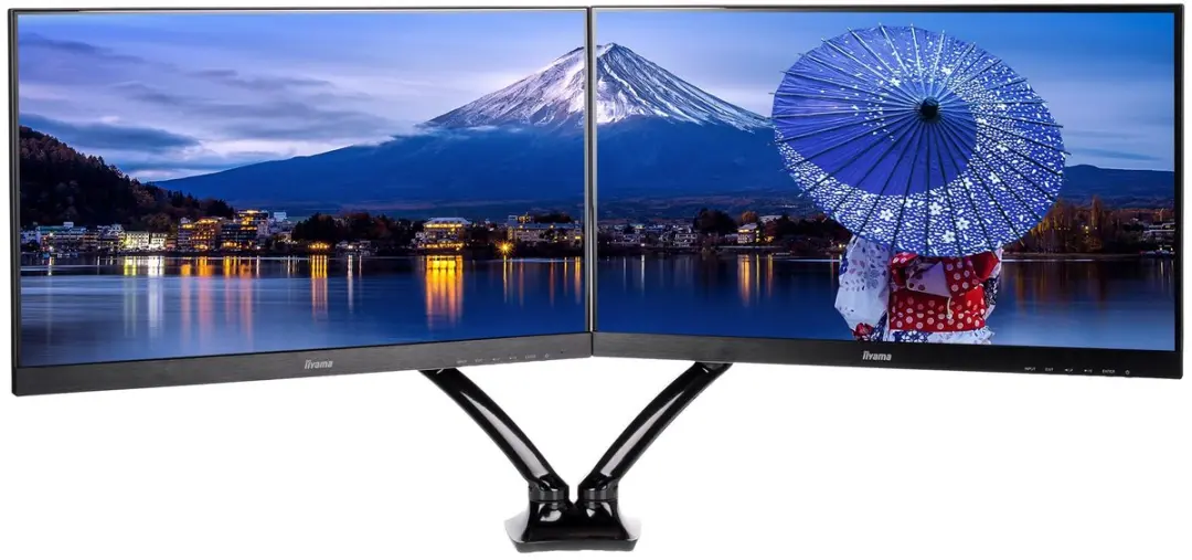 iiyama DS3002C-B1
