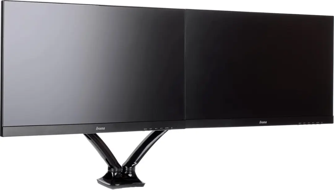 iiyama DS3002C-B1
