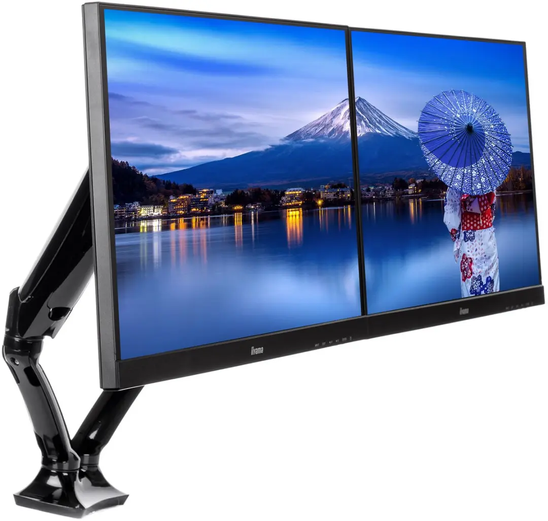 iiyama DS3002C-B1