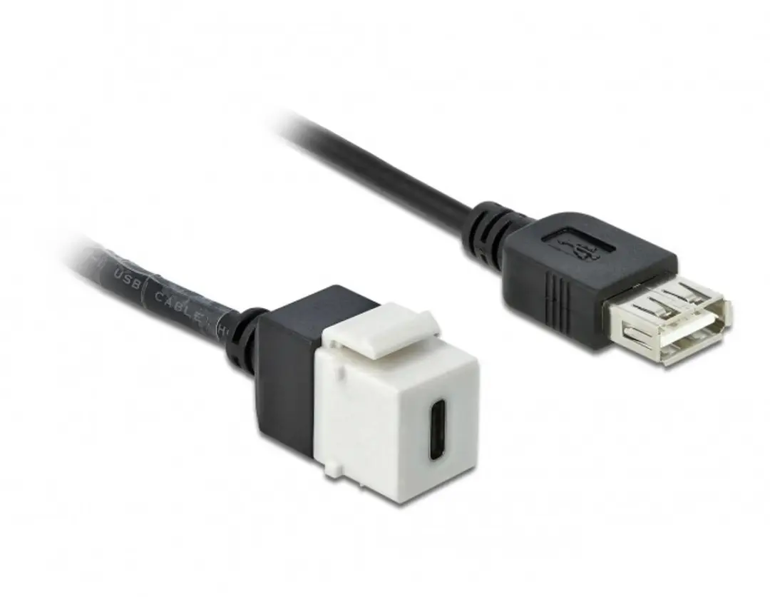 Delock USB-C Keystone Module USB-A Wit