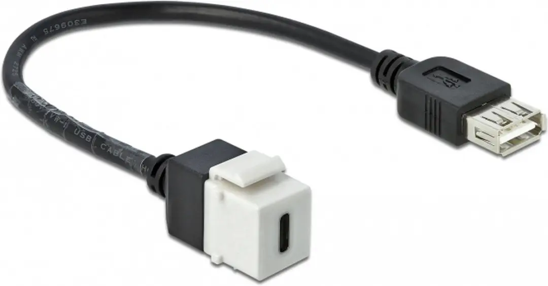Delock USB-C Keystone Module USB-A Wit - 0,25m