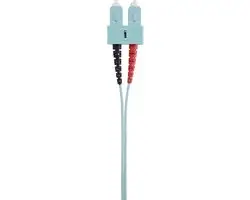 Renkforce RF-4755212 Glasvezelkabel 1m